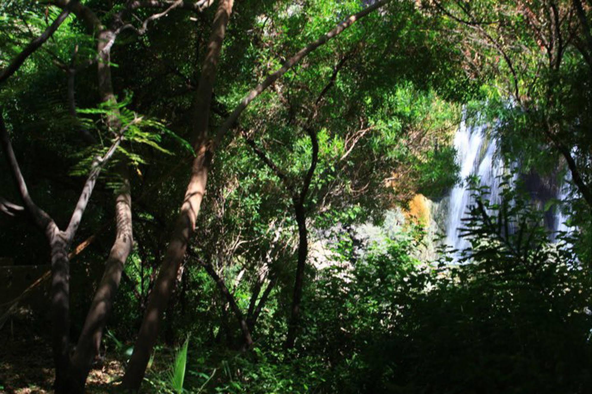 מלון Sweimeh Ma'In Hot Springs מראה חיצוני תמונה